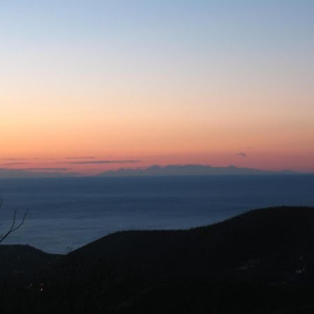 Casa Vacanze L'Agrifoglio Bed & Breakfast Magliolo Exterior photo