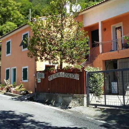 Casa Vacanze L'Agrifoglio Bed & Breakfast Magliolo Exterior photo