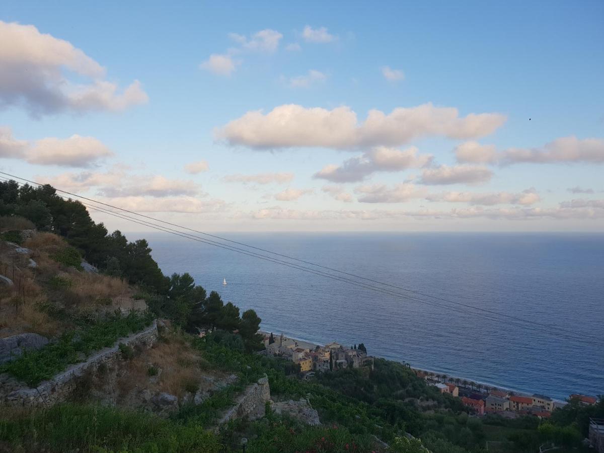Casa Vacanze L'Agrifoglio Bed & Breakfast Magliolo Exterior photo
