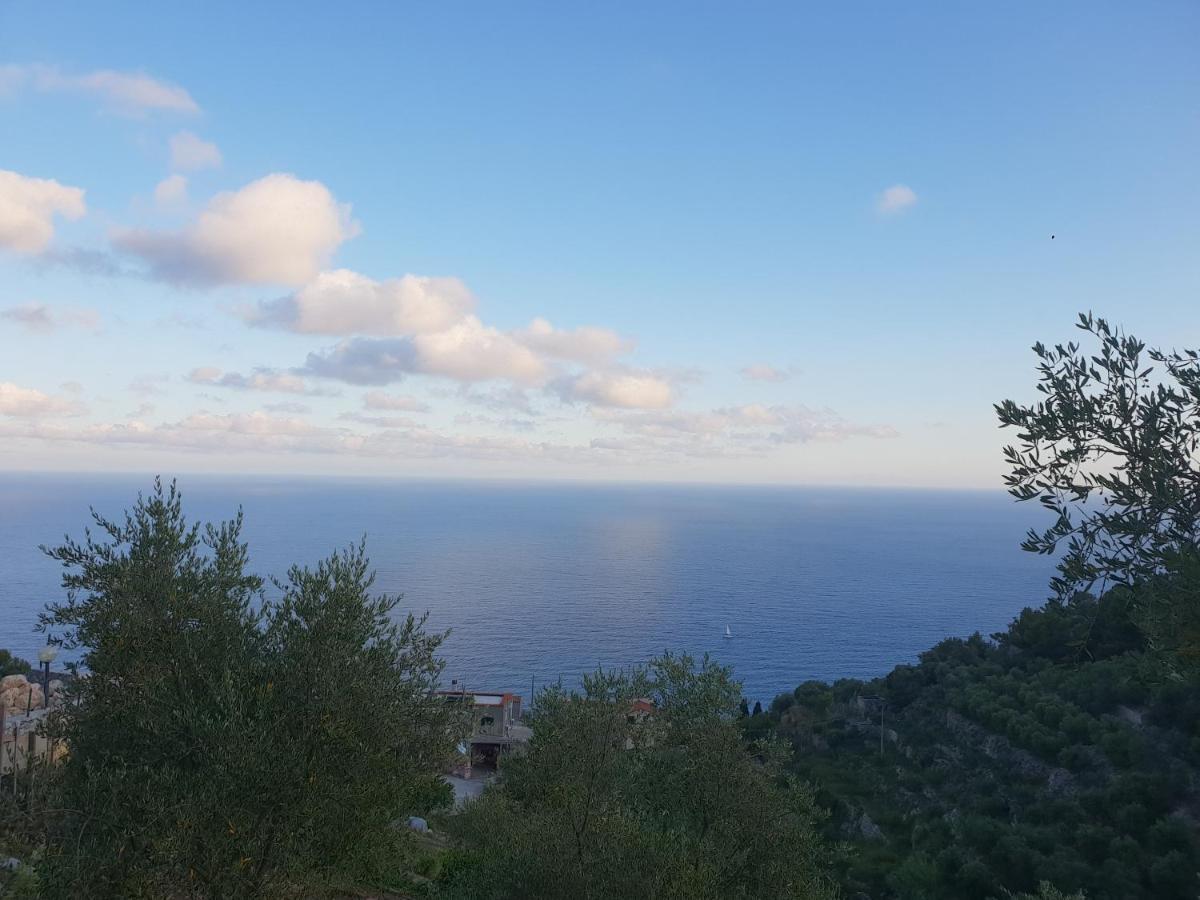 Casa Vacanze L'Agrifoglio Bed & Breakfast Magliolo Exterior photo