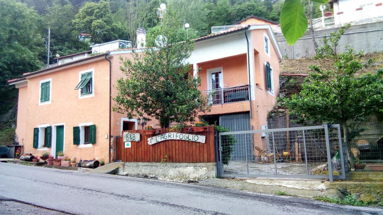 Casa Vacanze L'Agrifoglio Bed & Breakfast Magliolo Exterior photo